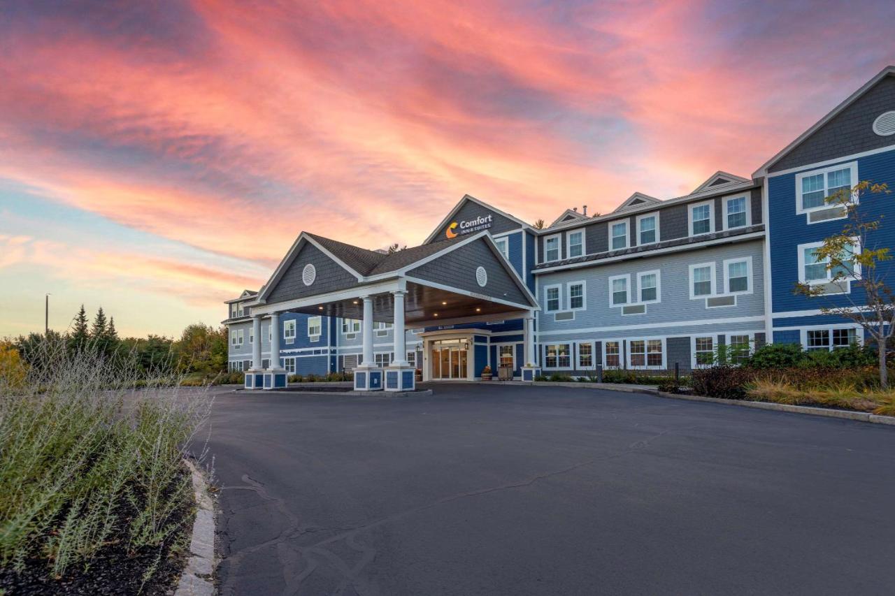 Comfort Inn & Suites Wilton Buitenkant foto
